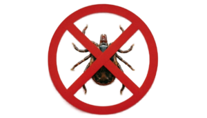 Главная 9 klesh